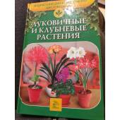 Луковичные и клубневые растения.  Энциклопедия комнатного цветоводства
