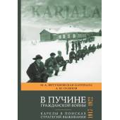 В пучине гражданской войны : Карелы в поисках стратегий выживания. 1917–1922