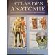 Atlas der Anatomie. Organsystem und Strukturen in 439 Abbildungen